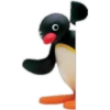 Pingu 2 🐧🐧 27