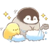 Soft & Cute Chick (Summer) 26