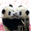 Pandas 28