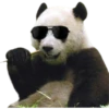 Pandas 29