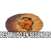 DESTRUIDO EN SEGUNDOS