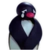 Pingu 2 🐧🐧 30