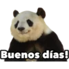 Buenos días!
