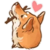 Shiba inu Blixa 5