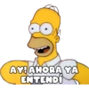 AY!ANORA YA
ENTENDÜ