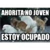 Ahorita No Joven #2 6