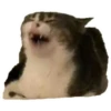 Memes uwu 4 6