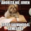 Ahorita No Joven #2 7