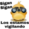 Angry Birds ♡ Admin 8