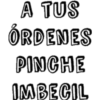 A TUS ÓRDENES PINCHE IMBECIL