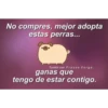 Tumblr con frases verga (3) 10