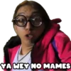 YA WEY NO MAMES