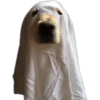 Perritos Random 2 9
