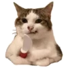 Memes uwu 4 9