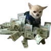 Perritos Random 2 10