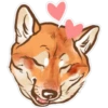 Shiba inu Blixa 7