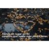 Tumblr con frases verga (3) 11