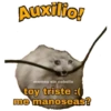 Memes uwu 4 13
