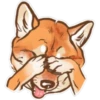 Shiba inu Blixa 9