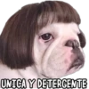 Perritos Random 2 12