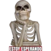 ESTOY ESPERANDO