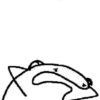 Flork 10