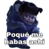 Poqué me
habas ashi