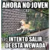 Ahorita No Joven #2 10