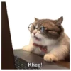 Memes uwu 4 16