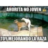 Ahorita No Joven #2 12