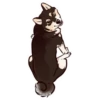 Shiba inu Blixa 11