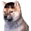 Perritos Random 2 15