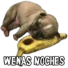 WENAS NOCHES