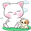 Melody Cats 15