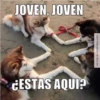 Ahorita No Joven #2 16