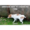 Ahorita No Joven #2 18