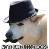 NO TE PARECE ESO CURIOSO