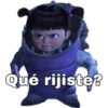 Qué rijiste?