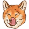 Shiba inu Blixa 18