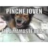 Ahorita No Joven #2 19