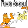Respuestas 24