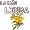 Piropos 17