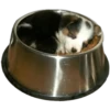 Perritos Random 2 22