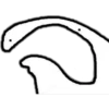 Flork 19
