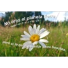 Tumblr con frases verga (3) 20