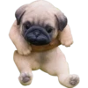 Pugzinho triste