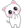 Melody Cats 24