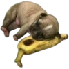 Perritos Random 3 13