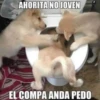 Ahorita No Joven #2 23