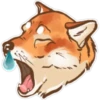 Shiba inu Blixa 22